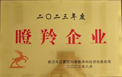 2023瞪羚企業(yè)